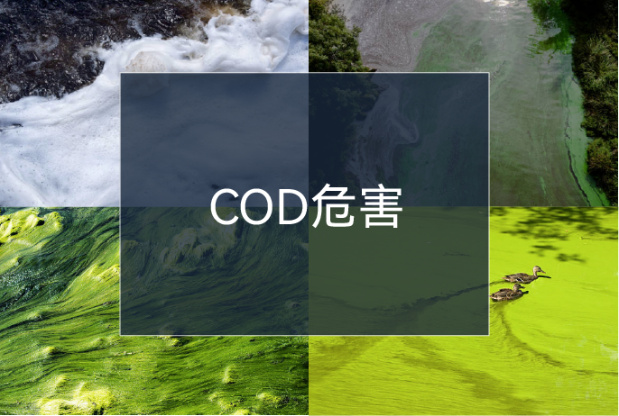20230609131806_90246 Â齫ºúÁË2(ÖйúÓÎ)¹Ù·½ÍøÕ¾ - IOS/°²×¿Í¨Óðæ/ÊÖ»úAPPÏÂÔØ